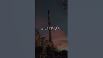 القران الكريم راحة نفسية تلاوة خاشعة حالات واتساب قران كريم 💙 #حالات_واتس_اب #اكسبلور #القرآن_الكريم