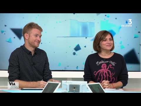 Image du reportage Via Nova 26/11/18 - 2 - Nos chers animaux de compagnie (France 3 Corse ViaStella)