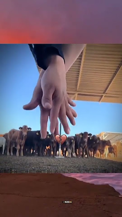 halu #video #funny #memelucuuhuhuh