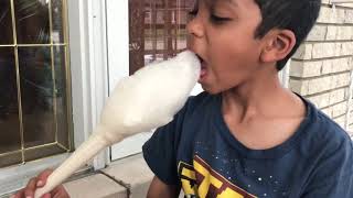 How to use the Bella's cotton candy maker + review. LOL white cotton candy!🤡👍🏽👍🏽😋
