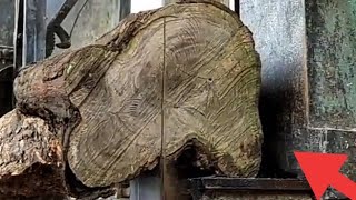 peringatan keras !! jangan dibeli kayu jati dari tanah kuburan || woodworking screenshot 2