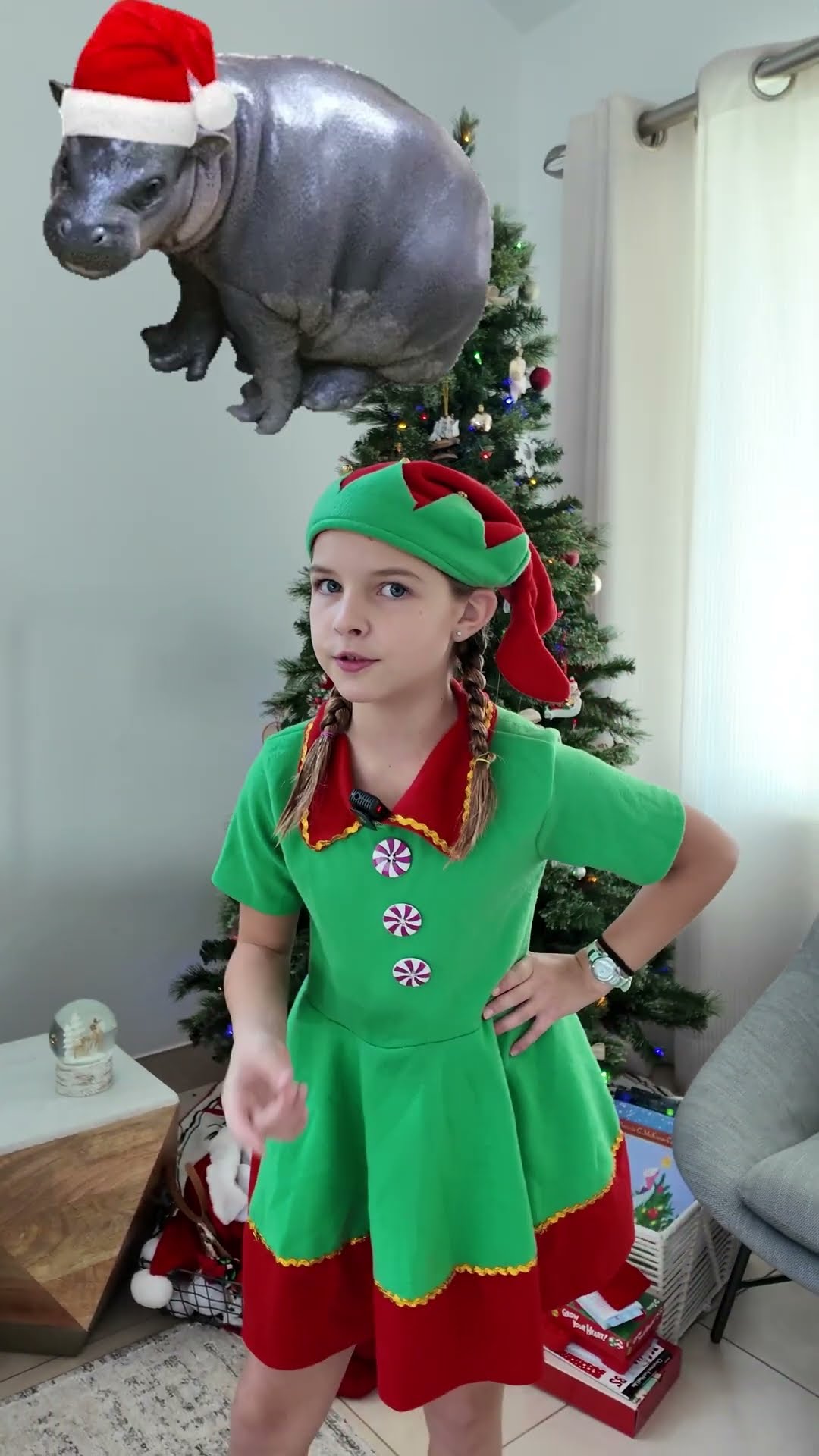 hippo for #christmas