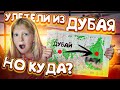 СЛОЖНЫЙ ПЕРЕЛЕТ на ... НАС НЕ ВЫПУСКАЮТ ИЗ АЭРОПОРТА?! ЗАСТРЯЛИ :(