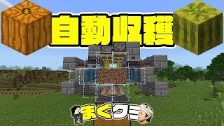 【まぐクラ #8】かぼちゃスイカ自動収穫機構出来た！【マインクラフトBE】