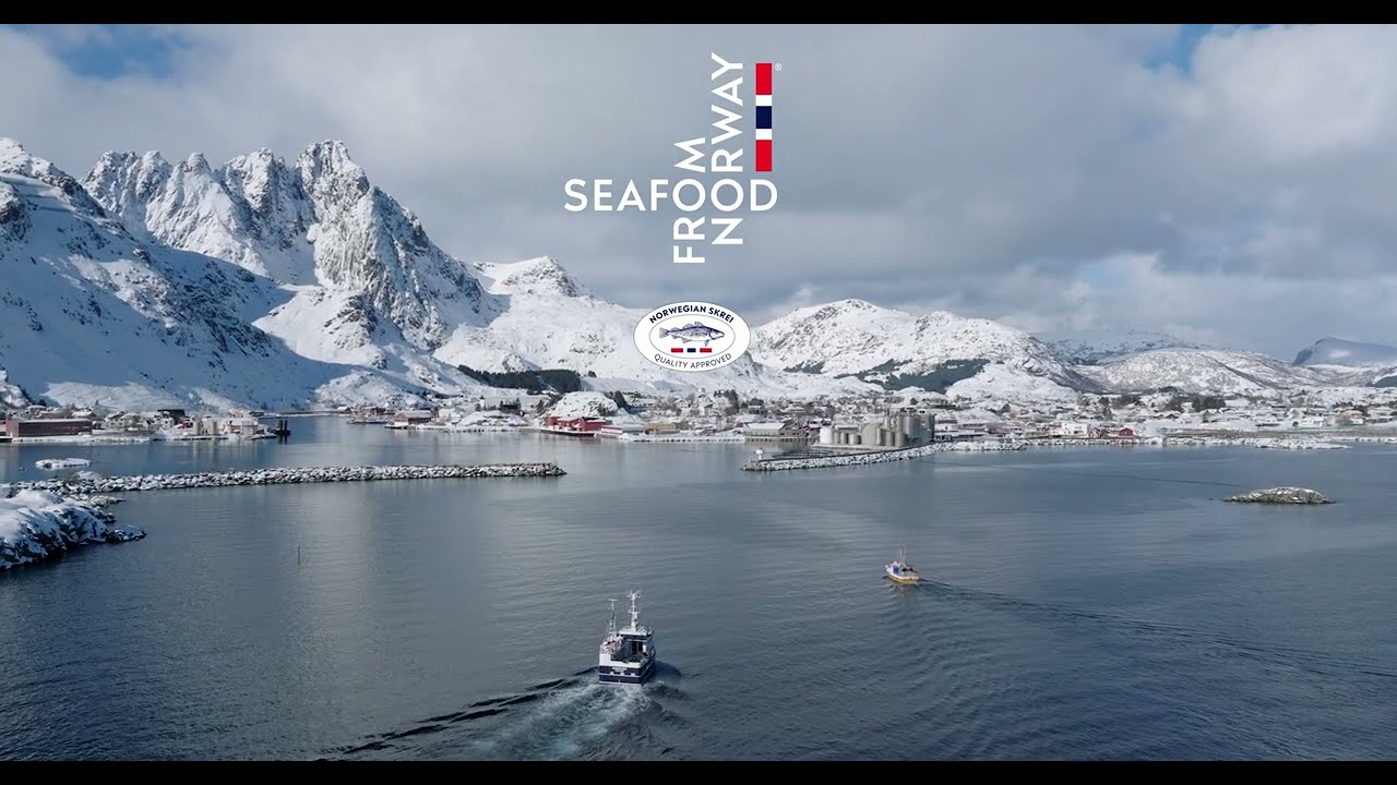 Follow the Norwegian Skrei - from us to you | Seafood from Norway