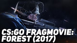 CS:GO Fragmovie: f0rest (2017)