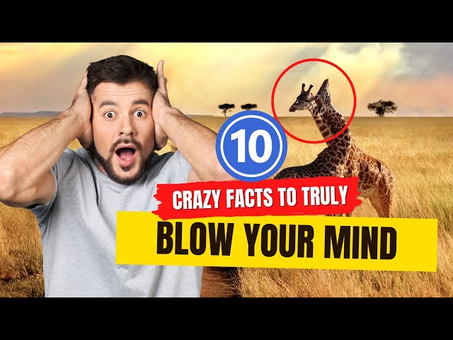 10 FASCINATING TRIVIA FACTS THAT WILL TRULY SURPRISE YOU | Amazing Facts class=