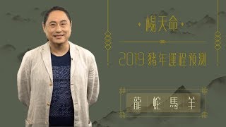 楊天命 | 2019豬年運程預測龍蛇馬羊十二生肖犯太歲、吉星、凶星講解 | ELLE HK