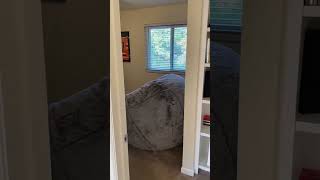 705 Delphi Dr