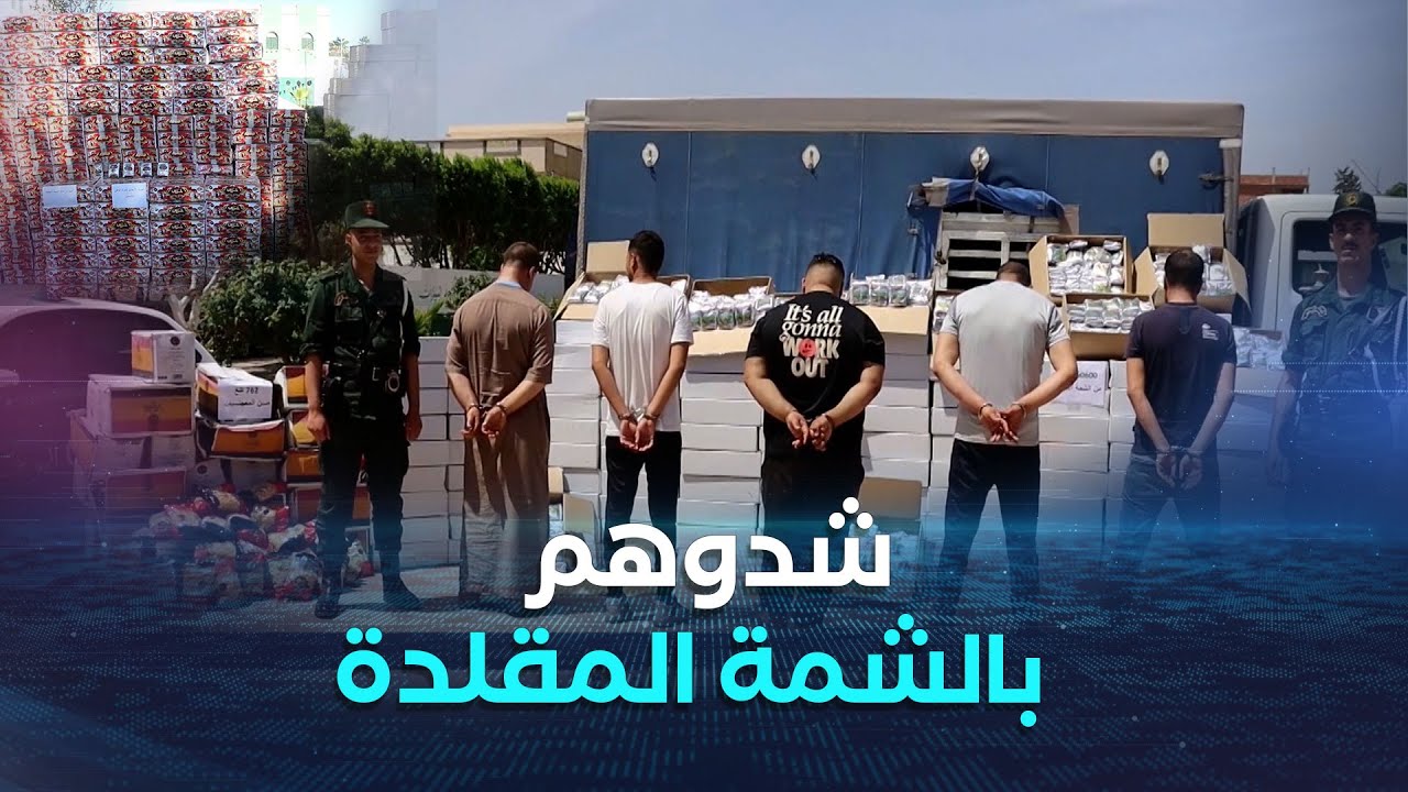 الشلف.. حجز أزيد من 60 ألف علبة من مادة الشمة المقلدة ببلدية بوقادير