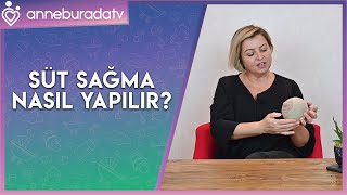 Süt Sağma Nasıl Yapılır?