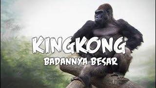 Download Kingkong Badannya Besar | Cover By Pemuridan | Lagu Sekolah Minggu #musikrohani Video MP3 Kingkong Badannya Besar | Cover By Pemuridan | Lagu Sekolah Minggu #musikrohani