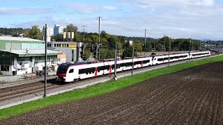 SBB RABe 523 Flirt Mouette in Bassersdorf | Erster Einsatz mit Fahrgästen | Stadlerflirt |