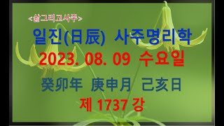 [출산택일/일진사주명리학]_제1737강_2023년 08월 09일(계묘년 경신월 기해일)_기토 신월생 기해일주