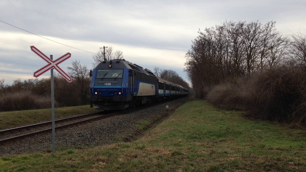 Henschel Dízelmozdony [MÁV Viking] ► Busó Sebesvonat ● Mohács - Középmező - Nagynyárád között [2026]