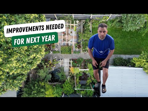 Improvements Needed in my Garden