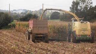 Ensilage mais 2014 avec Krone Big X1100 dans les côtes d' armor avec l'E.T.A Briand