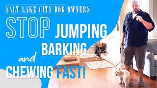 How Utah Dog Owners Can Stop Dog Chewing, Jumping, Barking, and More by Ty The Dog Guy 402 views 4 years ago 9 minutes, 2 seconds