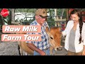 Raw Milk Farm Mini Documentary - Learn about Raw Milk from a REAL Farmer