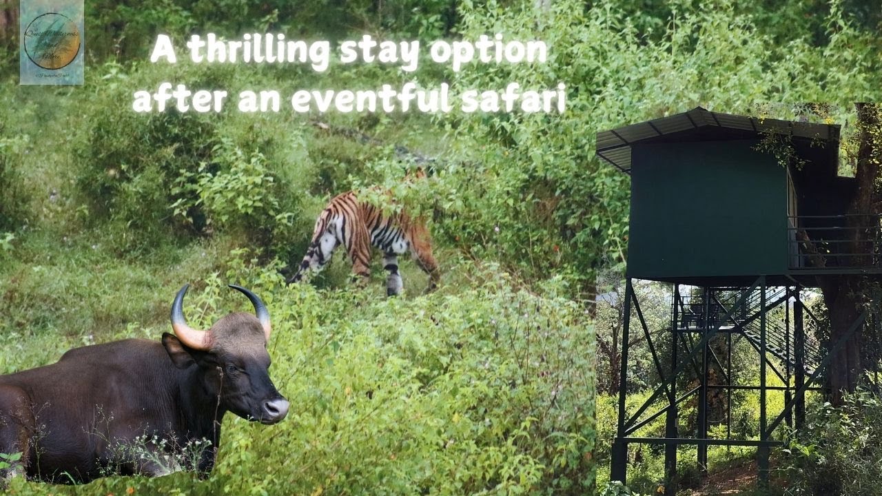 Thrilling Experience at Nagarhole and Wayanad- Part 3| Jungle Retreat Wayanad 