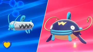 HOW TO Evolve Barboach into Whiscash in Pokémon Sword and Shield