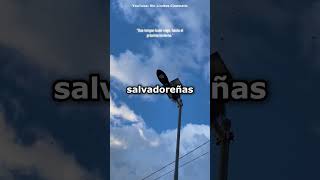 ¡Llegaron los azacuanes! El vuelo que anuncia el fin de las lluvias en El Salvador