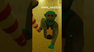 It was hell. #gtag #gorillatagquest #vr #scary