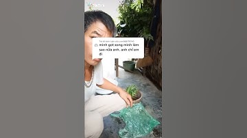 Chữa gai đốt sống lưng bằng cây xương rồng