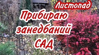 Листопад.Як причепурити за 10 хвилин ЗАНЕДБАНІ ДОРІЖКИ ? Сад 8 місяців без догляду.Після окупації.