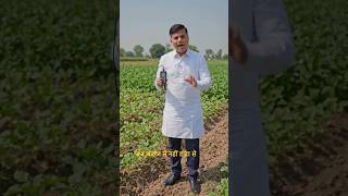 अब अंदाज़ नहीं, DATA से खेती! 🌱📊 | Smart Farming का कमाल 🚜