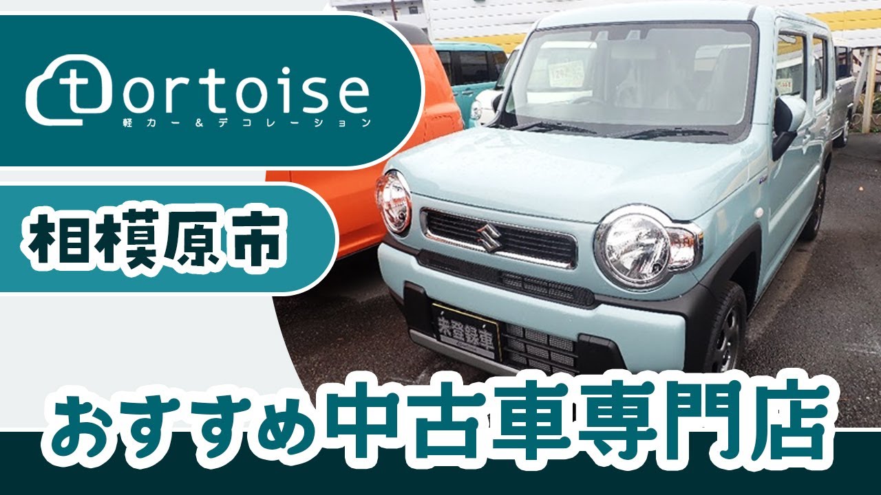 相模原市の中古車専門店でおすすめのトータス Youtube 相模原市の中古車専門店でおすすめのトータス Youtube