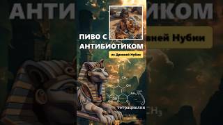 ПИВО С АНТИБИОТИКОМ #shorts #наука #египет #образование #антибиотик  #ytshorts