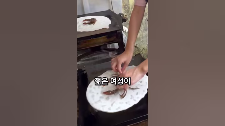 일본의 유명한 과자 장인