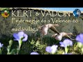  fejr megye s a velenceit madrvilga  4k  english subtitle