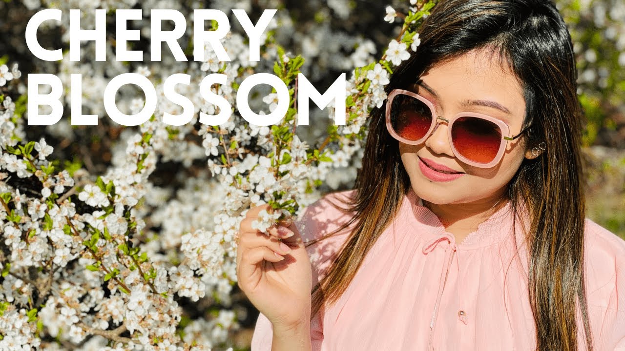 Cherry Blossom White 2021 | Sweden | 4K | moumiTanmoy