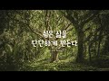 잠잘때듣는음악ㅣ불안한 마음이 편안해지는 불면증치료음악🌿🌳