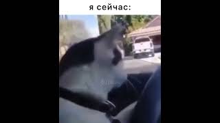 Я В Детстве Когда По Радио Ретро Fm #Memes #Tiktok #Мем