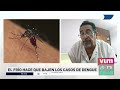 SALUD: Bajaron los casos de dengue