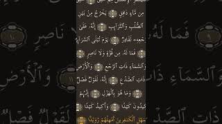 Surah Tariq |Surah Al Tariq | ayat 5-17 | Learn Quran | Sahl yassin