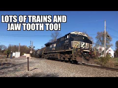 Lots of trains and Jaw Tooth too!