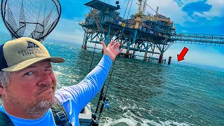 I took my Sea Doo 15 Miles to Fish THIS Oil Rig!! MULTIPLE SPECIES LANDED