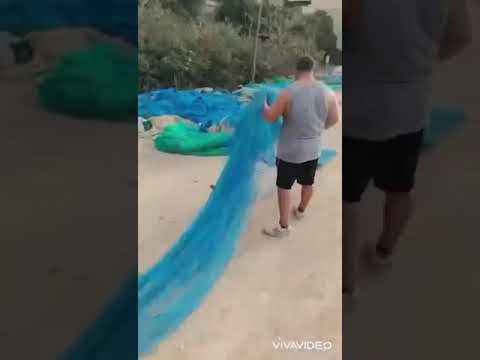 Tio Tomás en la resinsa