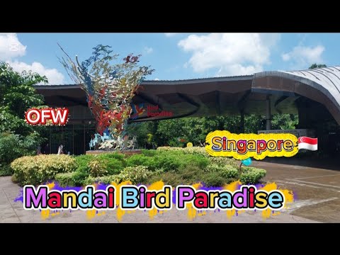 Part 2: Exploring Mandai Bird Paradise #singapore #travelvlog #adventure #explore
