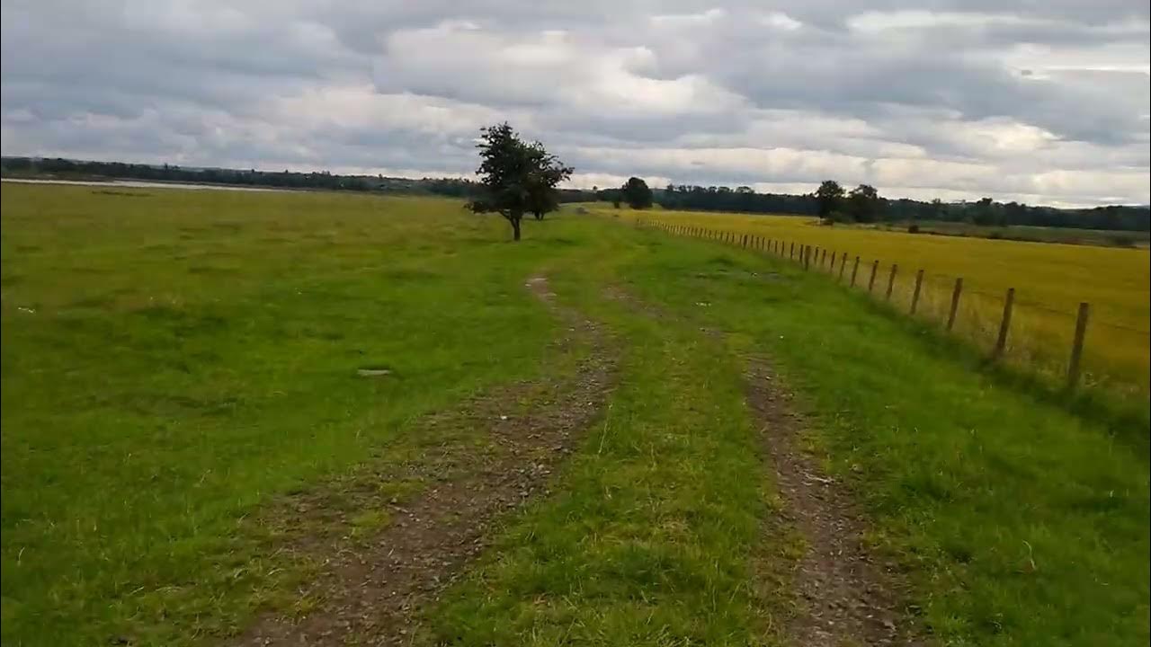Searching Abandoned Airth Station to Alloa Railway Line, this is the