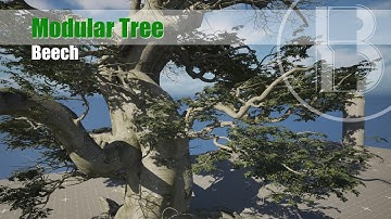 Modular Tree Beech