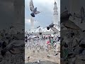 # Islamic short video