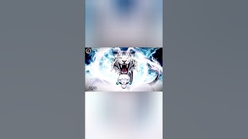 Bạch Hổ Full power+Chu Tước🥶#cauca #edit #caucavancan #nunuvietsub câu cá vạn cân tập 29phần2