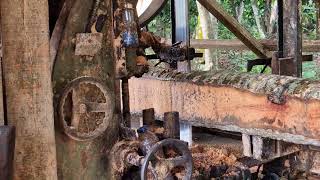 Massive Timber Transformation with Next-Generation Sawmill