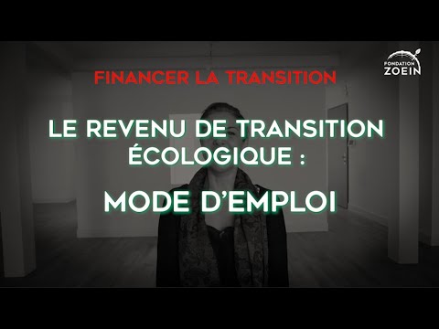 Vidéo: Qu'est-ce qu'un modèle de revenus en transition ?