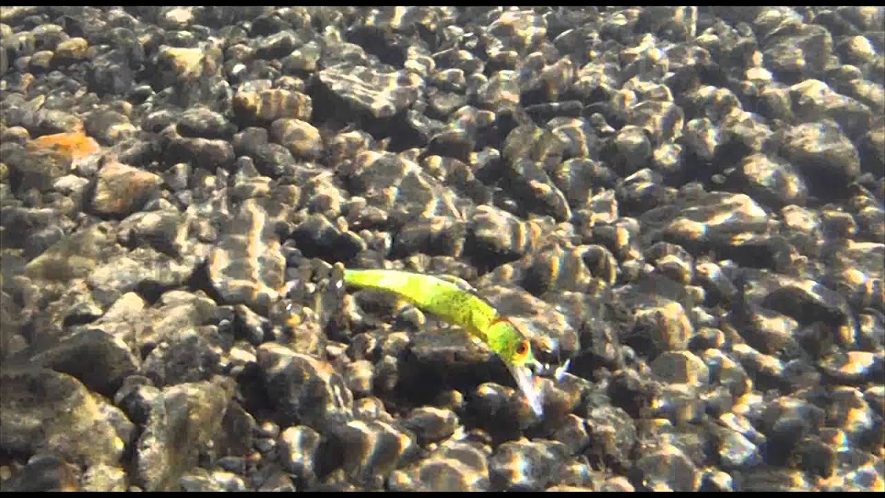 matzuo kinchou - live action 1